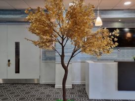 gold leaf trees14