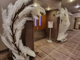 ostrich feather entrance hinckley island2