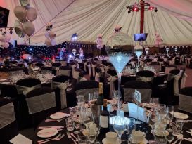 worcestershire ambassadors ball treetops event6